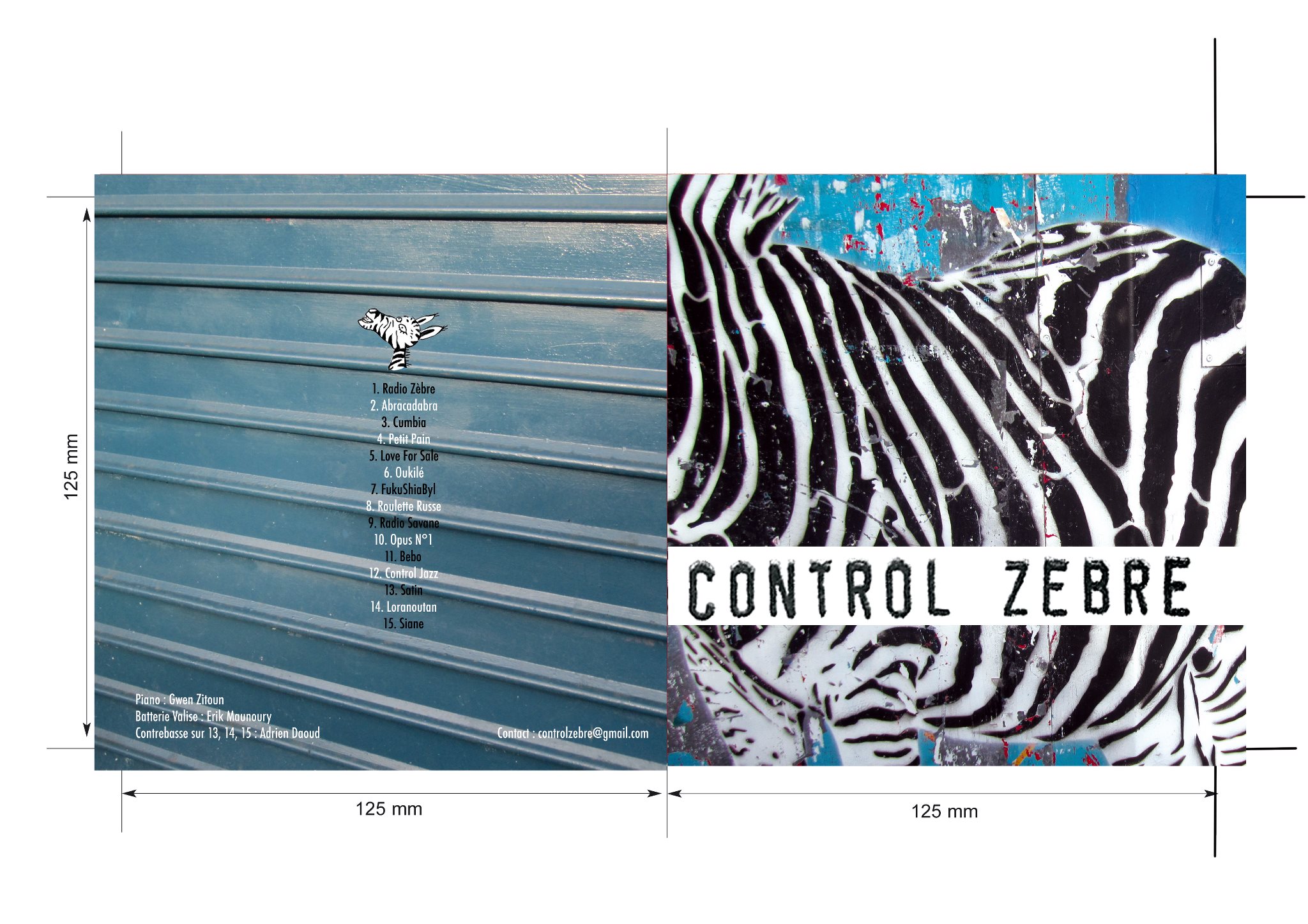 Control Zèbre concert